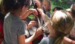 Kontyvirág Erdei Iskola